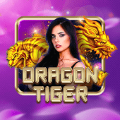Dragon Tiger nustar app live game